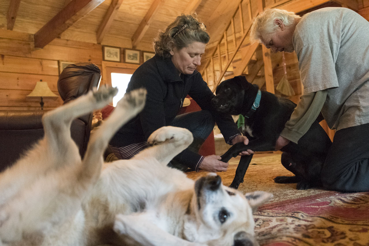 lorem ipsum dolor sit