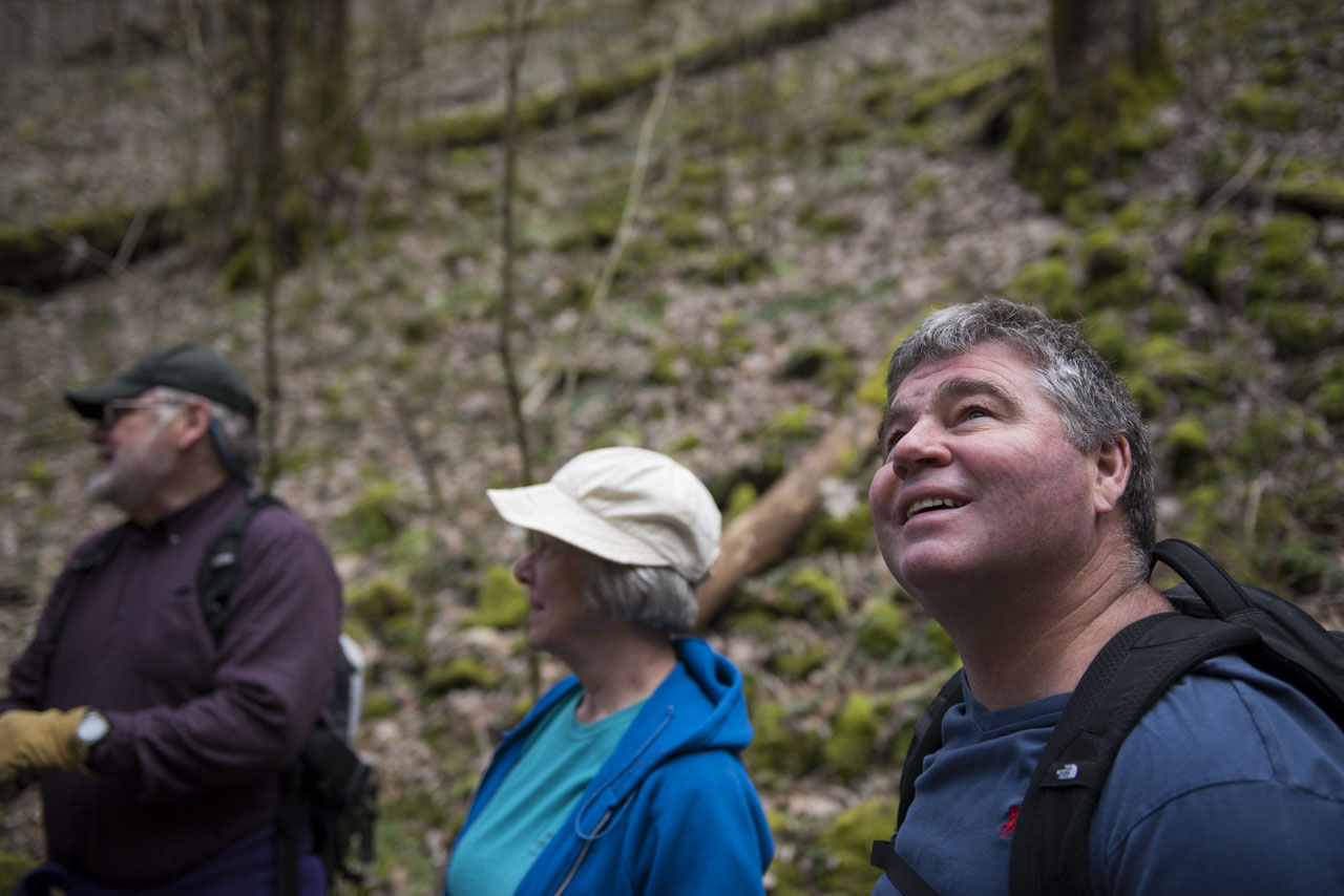 lorem ipsum dolor sit